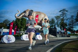 BIB: 
                            <button type="button" onclick="openModal(26541744)" class="btn btn-primary btn-sm float-right btn-popup" data-toggle="modal" data-target=".modal-high-quality">
                        <i class="fas fa-shopping-cart"></i> Add to Cart
                    </button>
                                            <button type="button" onclick="isThisMe(26541744, true)" class="btn btn-success btn-sm float-right btn-popup btn-isme hidden" data-toggle="tooltip" data-placement="bottom" title="นี่คือรูปของคุณใช่ไหม คลิกที่นี่เพื่อเอาเข้าอัลบั้ม">
                        <i class="fas fa-plus"></i> Add to album
                    </button>
                    <button type="button" onclick="isThisMe(26541744, false)" class="btn btn-warning btn-sm float-right btn-popup btn-isnotme hidden">
                        <i class="fas fa-ban"></i> Remove from album
                    </button>